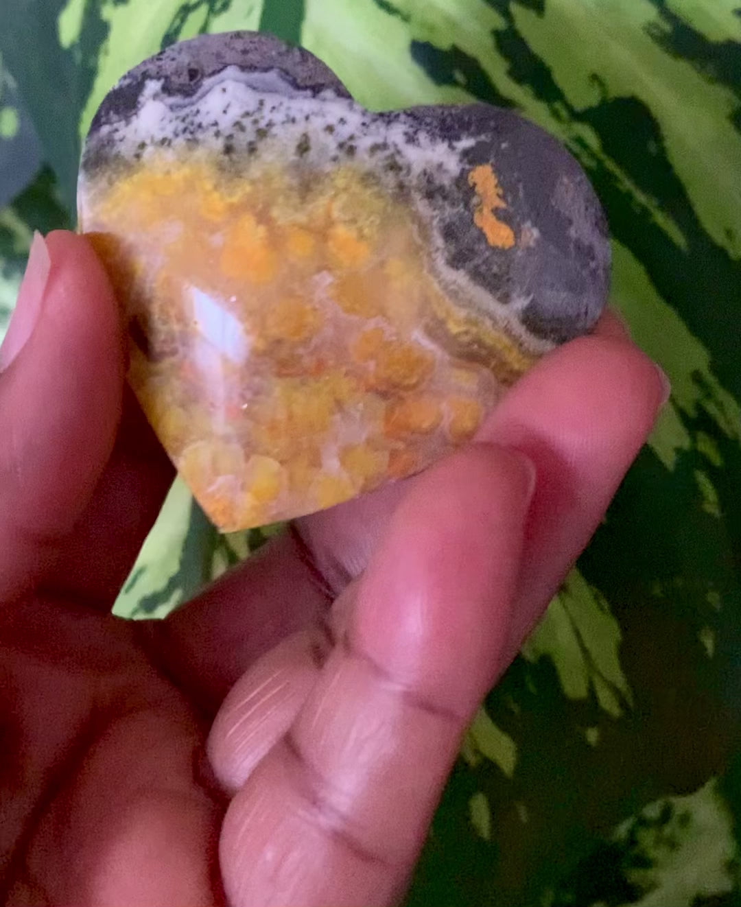 Bumble Bee Jasper Heart Stone
